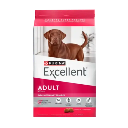 Excellent adult raza med/ grande