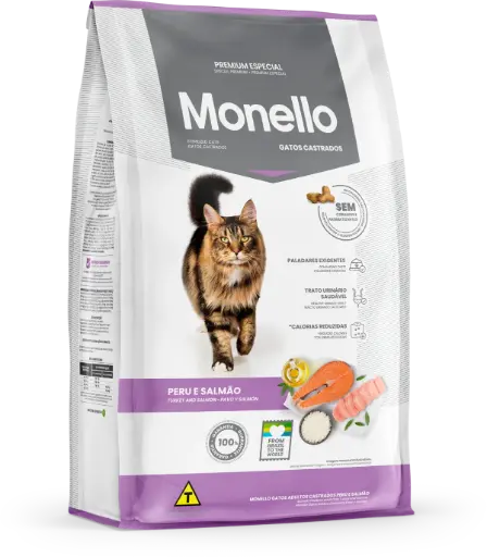Monello gato castrado